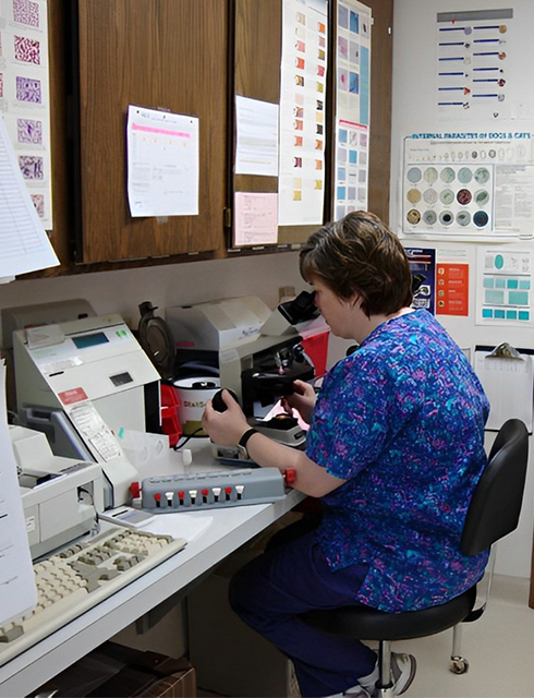 a vet in a blue shirt sits at a desk