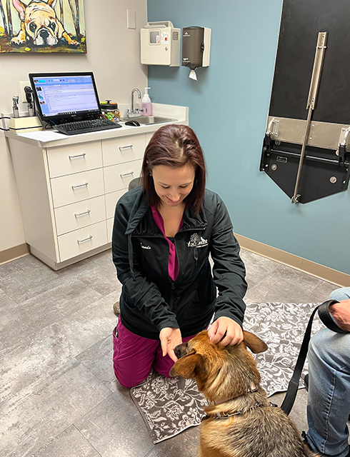 a vet interacts with a dog in an office