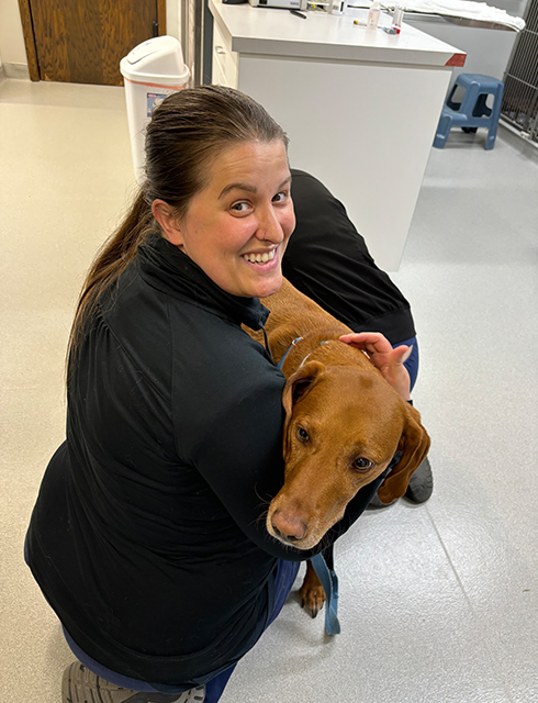 a vet is carefully holding a dog in a hospital