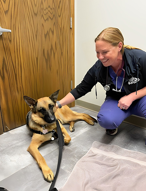 a vet is kneeling next to a dog on the floor